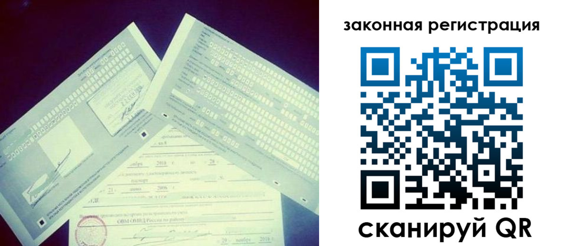прописка в Тимашёвске